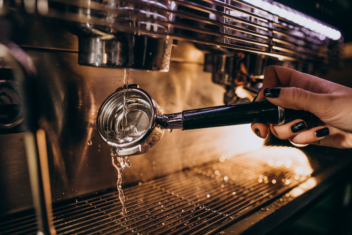 Fresh Brew
