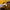 Promotion banner