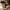 Promotion banner
